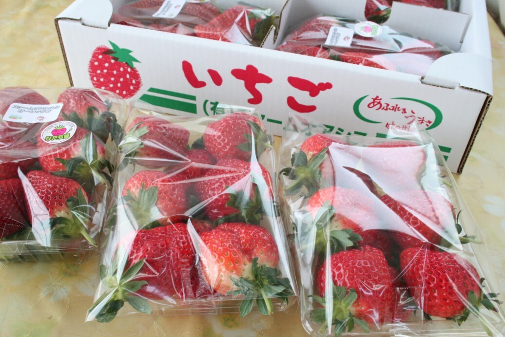 直売所のご案内